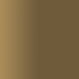 TOUCH UP PAINT PEN SAAB 169 VALNUTSBRUN