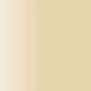 TOUCH UP PAINT PEN AUDI LZ1N AURUMBEIGE 2009-2013