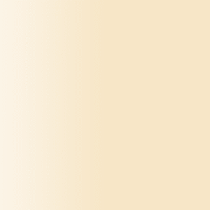 TOUCH UP PAINT PEN AUDI P1P CHAMOIS 1981-1986