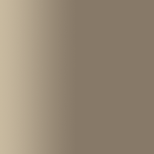 TOUCH UP PAINT PEN AUDI Y4V SATURN 1981-1985