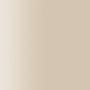 TOUCH UP PAINT PEN AUDI 655 PLATINBEIGE 1981-1986