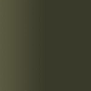 TOUCH UP PAINT PEN RAL 6015 SCHWARZOLIV