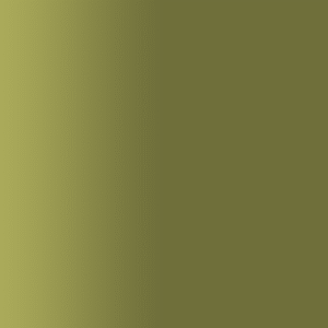 TOUCH UP PAINT PEN RAL 6014 GELBOLIV