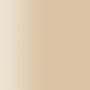 TOUCH UP PAINT PEN AUDI A8Z ANTILOPE 1986-1990