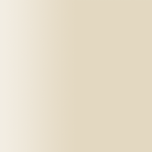 TOUCH UP PAINT PEN AUDI Y1Y MANDELBEIGE 1987-1988