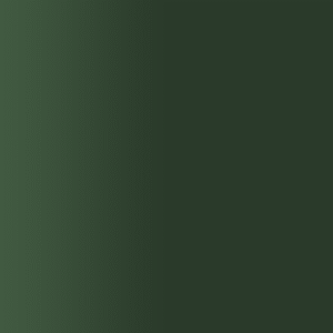 TOUCH UP PAINT PEN RAL 6012 SCHWARZGRUEN