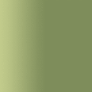 TOUCH UP PAINT PEN RAL 6011 RESEDAGRUEN