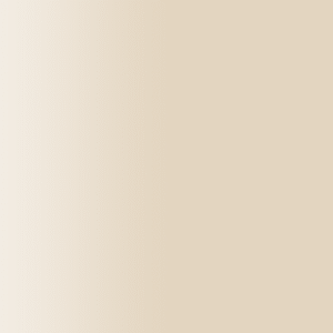 TOUCH UP PAINT PEN AUDI Z1T CASHMERE 1993-1999