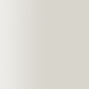 TOUCH UP PAINT PEN SAAB 293 PARCHMENT SILVER