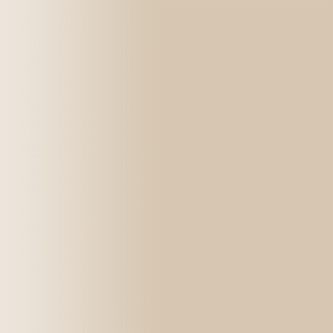 TOUCH UP PAINT PEN AUDI G7V DESERTWIND 1999-2003