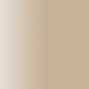 TOUCH UP PAINT PEN AUDI R1V BOLERO BEIGE 2001-2006