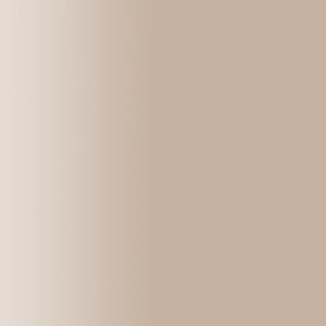 TOUCH UP PAINT PEN AUDI A1W STORMBEIGE 2001-2005