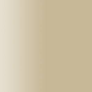 TOUCH UP PAINT PEN AUDI LH1X MOJAWE BEIGE 2015-