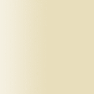 TOUCH UP PAINT PEN AUDI LZ1U DIAMOND BEIGE 2014-2021