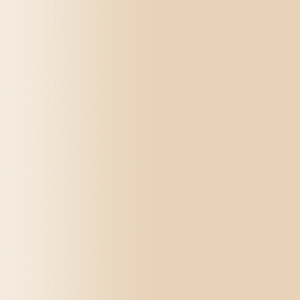 TOUCH UP PAINT PEN AUDI LY1R MANDELBEIGE 2002-2006