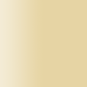 TOUCH UP PAINT PEN AUDI 481 KALAHARI BEIGE 2001-2002