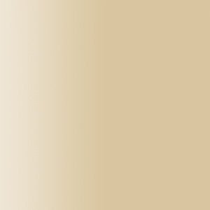 TOUCH UP PAINT PEN SAAB 161 CAMEO BEIGE