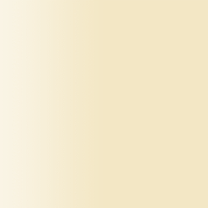 TOUCH UP PAINT PEN AUDI CXNEWHA LIGHT SANTA FE 1994-1996