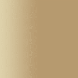 TOUCH UP PAINT PEN AUDI LKTA MOCHA LATTE 2015-2016