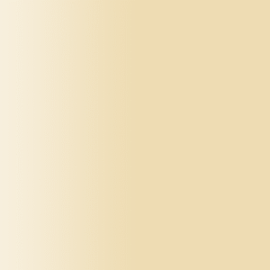 TOUCH UP PAINT PEN AUDI LX1U FEIN BEIGE 2022-