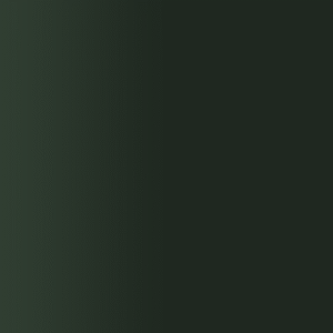 TOUCH UP PAINT PEN AUDI LY9W SMARAGDSCHWARZ 2009-2018