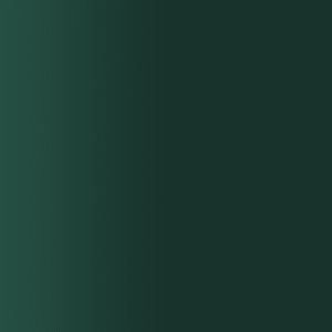 TOUCH UP PAINT PEN AUDI 5T7 DUNKELGRUEN 1992-1996