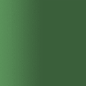 TOUCH UP PAINT PEN RAL 6288 PALMGRUEN