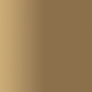 TOUCH UP PAINT PEN AUDI 226718 BRONZO MONTECARLO 2004-2005