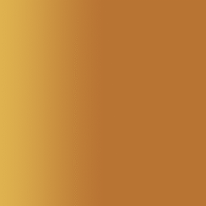 TOUCH UP PAINT PEN AUDI LY8P COPPER BROWN 2016