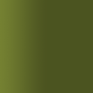 TOUCH UP PAINT PEN AUDI LQ6B RANGER GRÜN 2023-