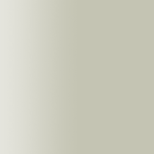 TOUCH UP PAINT PEN SAAB 41V DESERT SILVER