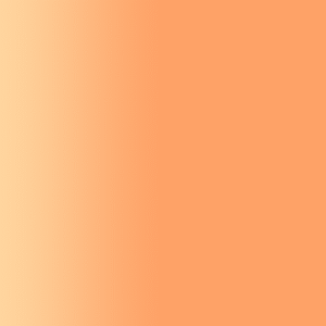 TOUCH UP PAINT PEN AUDI LY2B PAPAYAORANGE 2003-2006