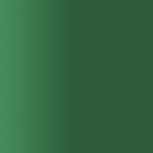 TOUCH UP PAINT PEN RAL 6028 KIEFERNGRUEN