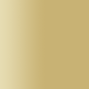 TOUCH UP PAINT PEN RAL 1001 BEIGE