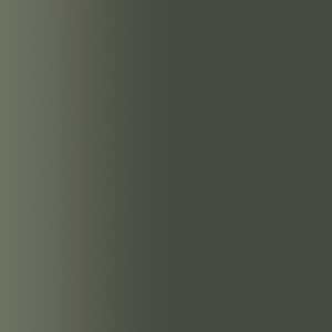 TOUCH UP PAINT PEN RAL 7002 OLIVGRAU