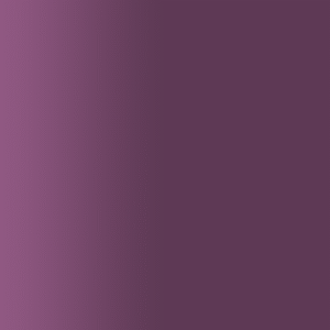 TOUCH UP PAINT PEN SAAB 241 AUBERGINE