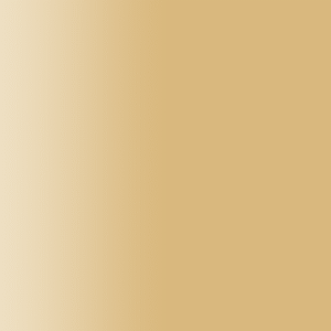 TOUCH UP PAINT PEN SAAB Y6 SAVANNA BEIGE