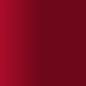 TOUCH UP PAINT PEN SAAB 219 TALLADEGA RED