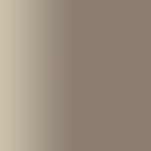 TOUCH UP PAINT PEN SAAB 321,GJM,814S PEPPERDUST, OAK