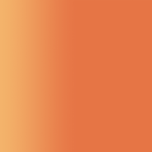 TOUCH UP PAINT PEN RAL 2012 LACHSORANGE