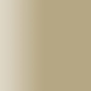 TOUCH UP PAINT PEN SAAB 642R TIARA TAN