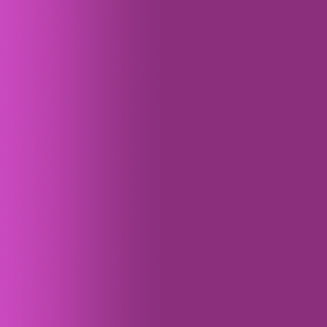 TOUCH UP PAINT PEN RAL 4007 PURPURVIOLETT