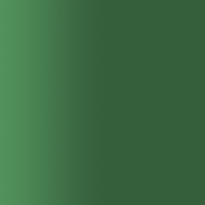 TOUCH UP PAINT PEN AUDI 217 TANNENGRUEN 1990-1995