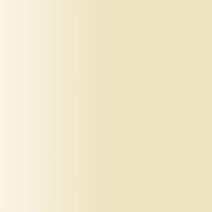 TOUCH UP PAINT PEN SAAB 312,GAI VANILLA PURE, BRIGHT CHAMPAGNE