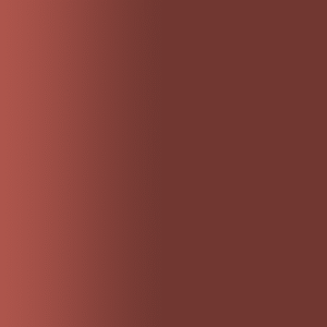 TOUCH UP PAINT PEN RAL 3009 OXYDROT