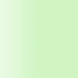 TOUCH UP PAINT PEN AUDI R629 MINZGRUN 2006-