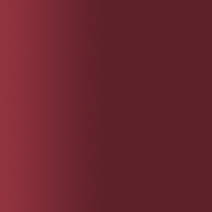 TOUCH UP PAINT PEN RAL 3005 WEINROT