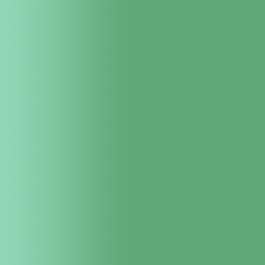 TOUCH UP PAINT PEN AUDI L6Q SEEGRUN 2006-