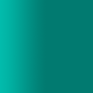 TOUCH UP PAINT PEN AUDI R609 TANNENGRUEN 2001-