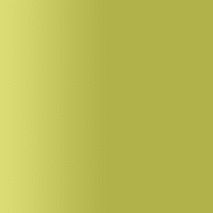 TOUCH UP PAINT PEN AUDI 61S GELBOLIV 1990-